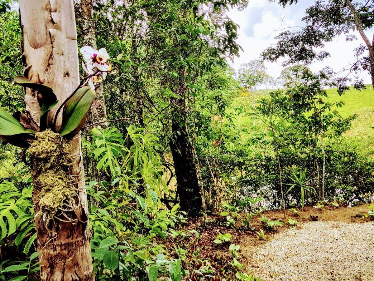Pousada Santa Thereza Serra Negra  Luaran gambar