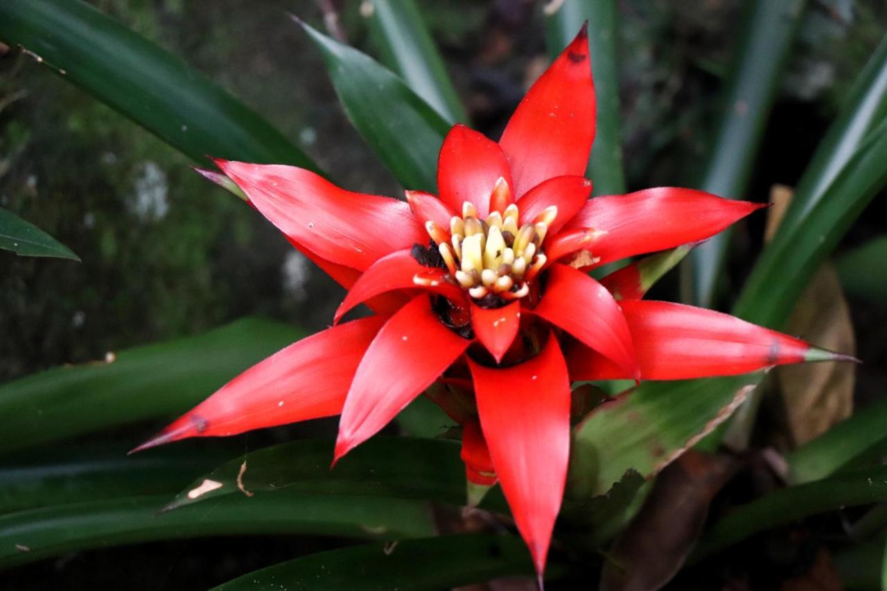 Pousada Santa Thereza Serra Negra  Luaran gambar